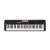 Đàn Organ Casio Casiotone CT-S100