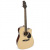 Đàn Guitar Greg Bennett GD-101SCE