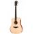 TAYLOR DREADNOUGHT ACADEMY 10E