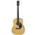 TAKAMINE D1D NS