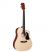 TAKAMINE D2D NAT