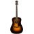 FENDER PM-1 DELUXE DREADNOUGHT