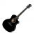 TAKAMINE ED2DC