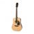 Epiphone DR-100 Acoustic Guitar, Rosewood Neck, Natural