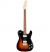 AMERICAN PROFESSIONAL TELECASTER® DELUXE SHAWBUCKER™