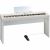 Đàn Piano Điện Roland FP-50 WH