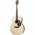 TAKAMINE GD51NAT