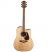 TAKAMINE GD71CE