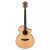 Ibanez AEW21VK-NT AEW Acoustic Guitar, Natural