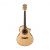 Ibanez AEW23ZW-NT AEW Acoustic Guitar, Natural