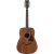 Ibanez AW54-OPN Artwood Acoustic Guitar, Open Pore Natural