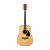 Ibanez AW70-NT Acoustic Guitar, Rosewood Neck, Natural