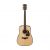 Ibanez Limited Ed AW500K-NT Artwood Acoustic Guitar, Natural