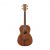 Ibanez PNB14E-OPN Acoustic Bass Guitar, Open Pore Natural