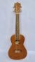 Đàn Ukulele Concert Mitchell Size 23 Inch 
