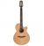 TAKAMINE P3FCN