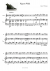 Pigeon Walk - Piano Sheet