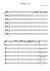 Young Lion-Vampire Weekend - Piano Sheet