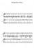Twilight Sky (Piano) - Piano Sheet