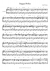 Ragged Polka - Piano Sheet