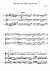 The Gale for Flute and Violin - Piano Sheet