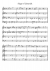 Siege of Limerick - Piano Sheet