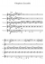 A Hummingbird's Idea of Fun - Piano Sheet