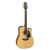 Đàn Guitar Takamine GD10CE