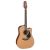 Đàn Guitar Takamine P1DC
