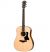 Đàn Guitar Taylor 110E