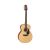 Đàn Guitar Takamine GN10-NS
