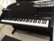 Đàn Piano Điện Kawai PW-7