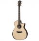 Đàn Guitar Taylor 914ce