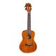 Đàn Ukulele Gecko Bằng Gỗ Rosewood Và Tiger Acacia Size 24 Inch