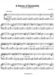 A Sense Of Symmetry - Ludovico Einaudi - Piano Sheet