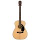 FENDER CC-60S