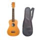 Đàn Ukulele WOIM Concert kèm bao da - Màu cam