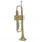 Kèn Trumpet Conn Selmer TR-650