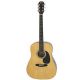 TAKAMINE D1D NS