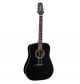 TAKAMINE D2D BLK