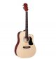 TAKAMINE D2D NAT