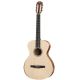 Đàn Guitar Taylor Academy A12E-N