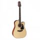 TAKAMINE ED2DCNAT