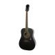 Epiphone DR-100 Acoustic Guitar, Rosewood Neck, Ebony