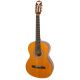 Epiphone PRO-1 Classic Classical Guitar,2