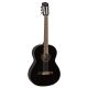 FENDER CN-60S, BLACK