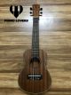 ĐÀN UKULELE CONCERT GỖ ANH ĐÀO (MẪU 11 SIZE 23)