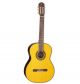 TAKAMINE GC3-NAT