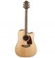 TAKAMINE GD71CE