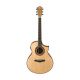 Ibanez AEW23ZW-NT AEW Acoustic Guitar, Natural